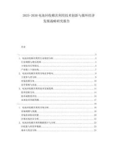2025-2030電池回收梯次利用技術(shù)創(chuàng)新與循環(huán)經(jīng)濟(jì)發(fā)展戰(zhàn)略研究報告