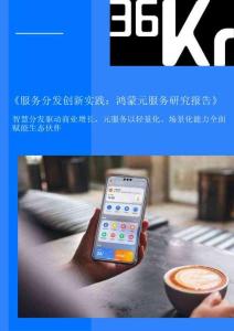 2025服務(wù)分發(fā)創(chuàng)新實(shí)踐：鴻蒙元服務(wù)研究報(bào)告