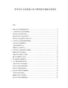 青年社區文化構建與用戶黏性提升戰略分析報告