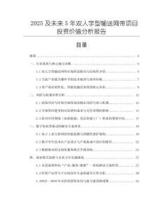 2025及未來5年雙人字型輸送網(wǎng)帶項(xiàng)目投資價(jià)值分析報(bào)告