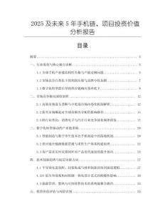 2025及未來5年手機(jī)鏈、項(xiàng)目投資價(jià)值分析報(bào)告