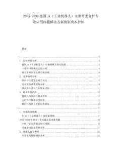 2025-2030德國jk（工業機器人）主要需求分析專業應用問題解決方案規劃成本控制