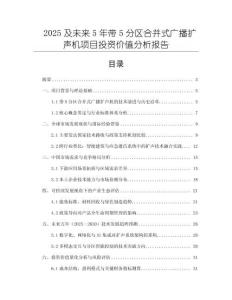 2025及未來5年帶5分區(qū)合并式廣播擴聲機項目投資價值分析報告