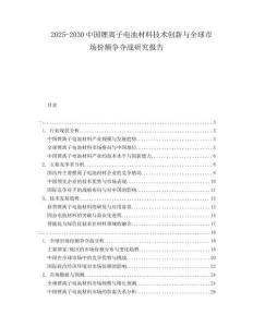 2025-2030中國鋰離子電池材料技術創新與全球市場份額爭奪戰研究報告