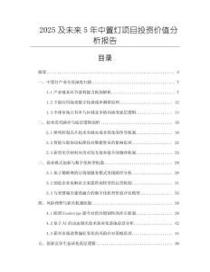2025及未來5年中置燈項目投資價值分析報告