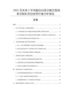 2025及未來5年電腦自動多功能仿型線條切割機項目投資價值分析報告