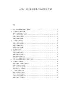 中國(guó)AI訓(xùn)練數(shù)據(jù)服務(wù)市場(chǎng)規(guī)范化發(fā)展