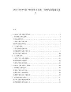 2025-2030中国PBT纤维市场推广策略与渠道建设报告