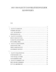 2025-2030電動汽車行業市場運營前景評估發展規劃分析研究報告