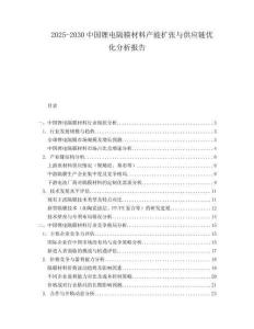 2025-2030中国锂电隔膜材料产能扩张与供应链优化分析报告