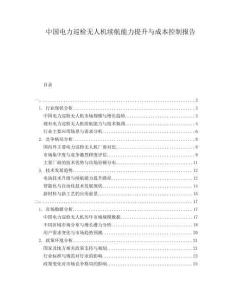 中国电力巡检无人机续航能力提升与成本控制报告