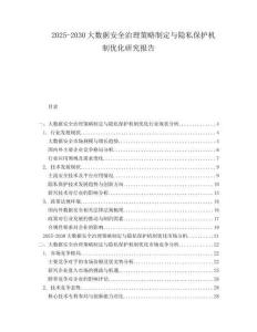 2025-2030大数据安全治理策略制定与隐私保护机制优化研究报告