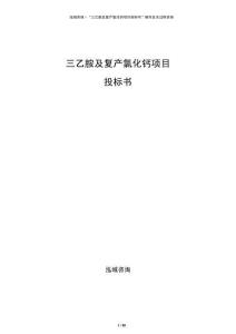 三乙胺及復(fù)產(chǎn)氯化鈣項目投標(biāo)書