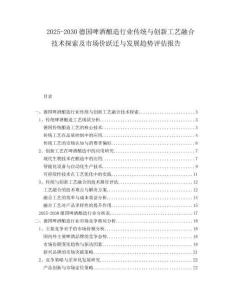 2025-2030德國啤酒釀造行業傳統與創新工藝融合技術探索及市場價躍遷與發展趨勢評估報告