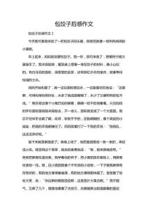 包餃子后感作文