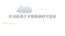 肝切除圍手術期鎮痛研究進展2026