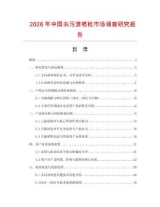 2026年中國去污漬噴槍市場調查研究報告