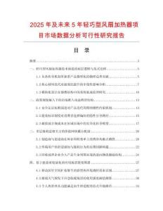 2025年及未來5年輕巧型風扇加熱器項目市場數據分析可行性研究報告
