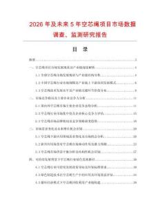 2026年及未來5年空芯繩項目市場數(shù)據(jù)調(diào)查、監(jiān)測研究報告
