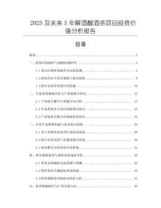 2025及未來5年解酒醒酒茶項目投資價值分析報告