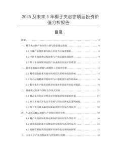 2025及未來5年椰子夾心餅項目投資價值分析報告