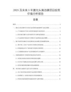 2025及未來5年激光頭清潔碟項(xiàng)目投資價值分析報告