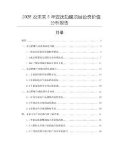 2025及未來5年安撫奶嘴項目投資價值分析報告