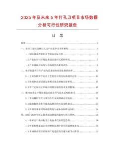 2025年及未來(lái)5年打孔刀項(xiàng)目市場(chǎng)數(shù)據(jù)分析可行性研究報(bào)告