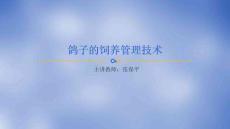 《禽生產(chǎn)》課件——鴿子的飼養(yǎng)管理技術(shù)