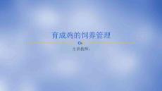 《禽生產(chǎn)》課件——育成雞的飼養(yǎng)管理