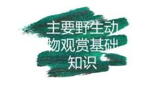 《森林動(dòng)植物保護(hù)與鑒賞》課件——6.0.5 動(dòng)物的主要群類 哺乳類