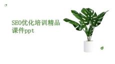 SEO優(yōu)化培訓(xùn)精品課件ppt