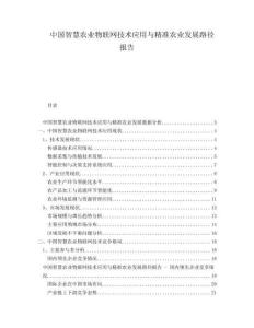 中國智慧農(nóng)業(yè)物聯(lián)網(wǎng)技術(shù)應(yīng)用與精準(zhǔn)農(nóng)業(yè)發(fā)展路徑報告