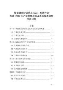 智能健身沙袋動態(tài)抗擊打反饋行業(yè)2026-2030年產(chǎn)業(yè)發(fā)展現(xiàn)狀及未來發(fā)展趨勢分析研究