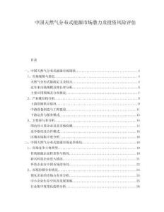 中國天然氣分布式能源市場潛力及投資風險評估