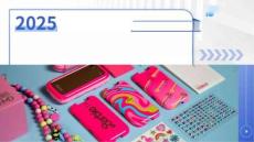 2025手機(jī)配件產(chǎn)品出海研究報(bào)告