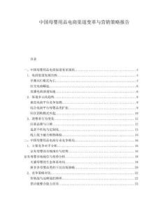 中國母嬰用品電商渠道變革與營銷策略報告