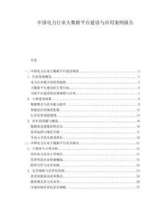 中國電力行業大數據平臺建設與應用案例報告