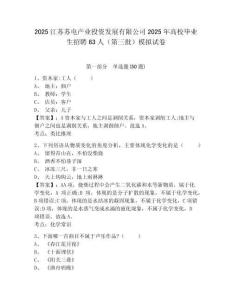 2025江蘇蘇電產(chǎn)業(yè)投資發(fā)展有限公司2025年高校畢業(yè)生招聘63人（第三批）模擬試卷附答案詳解（黃金