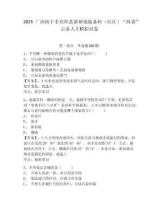 2025廣西南寧市賓陽縣新橋鎮(zhèn)儲備村（社區(qū)）“兩委”后備人才模擬試卷附答案詳解（典型題）
