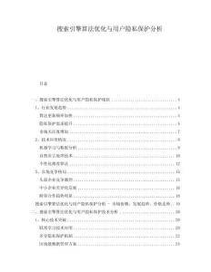 搜索引擎算法優(yōu)化與用戶隱私保護(hù)分析