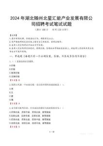 2024年湖北隨州北星匯能產(chǎn)業(yè)發(fā)展有限公司招聘真題