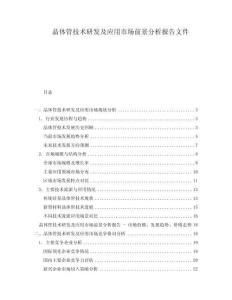 晶體管技術(shù)研發(fā)及應(yīng)用市場(chǎng)前景分析報(bào)告文件