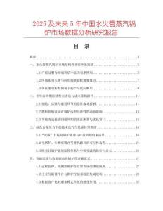 2025及未來5年中國水火管蒸汽鍋爐市場數據分析研究報告
