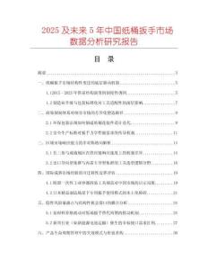 2025及未來5年中國紙桶扳手市場數據分析研究報告