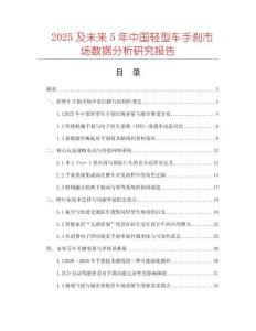 2025及未來5年中國輕型車手剎市場數據分析研究報告