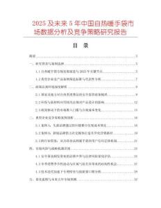 2025及未來5年中國自熱暖手袋市場(chǎng)數(shù)據(jù)分析及競(jìng)爭(zhēng)策略研究報(bào)告