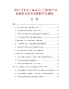 2025及未來5年中國小刀配件市場數(shù)據(jù)分析及競爭策略研究報告
