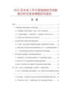 2025及未來5年中國海綿紙市場數據分析及競爭策略研究報告