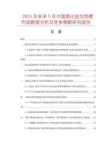 2025及未來5年中國氮化硅加熱管市場數據分析及競爭策略研究報告